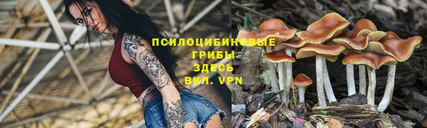 бутират Беломорск